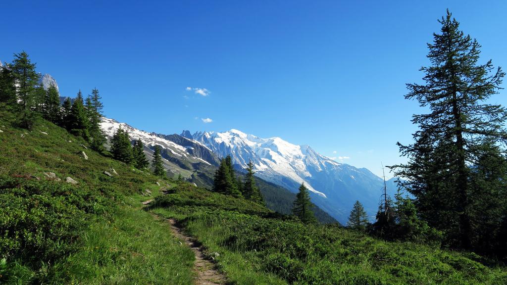 Le Dahu Hotell Chamonix Eksteriør bilde
